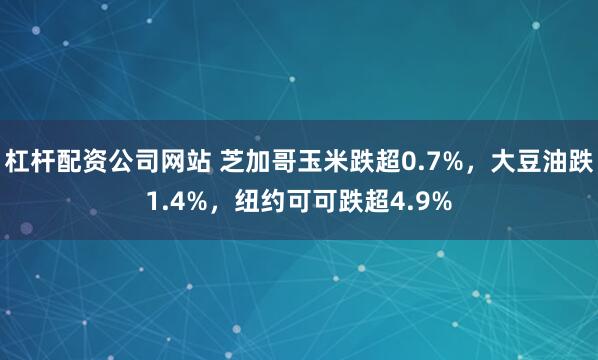 杠杆配资公司网站 芝加哥玉米跌超0.7%，大豆油跌1.4%，纽约可可跌超4.9%