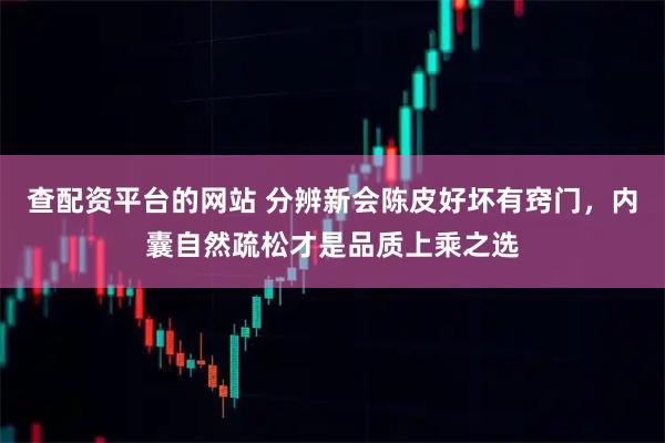 查配资平台的网站 分辨新会陈皮好坏有窍门，内囊自然疏松才是品质上乘之选